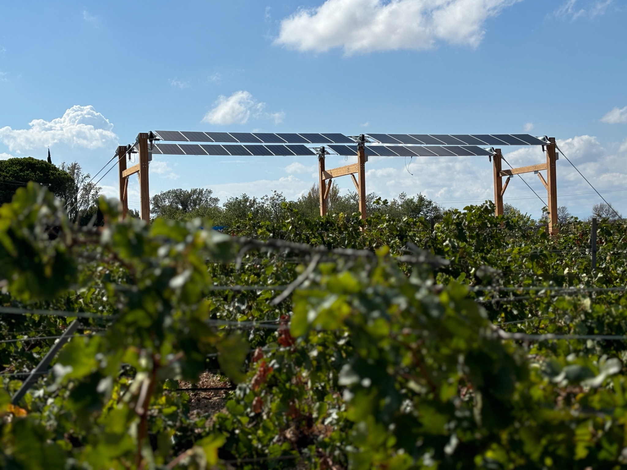 Ombrière solaire EcoTrack avec poteaux en bois et panneaux suspendus au-dessus des vignes à Rivesaltes